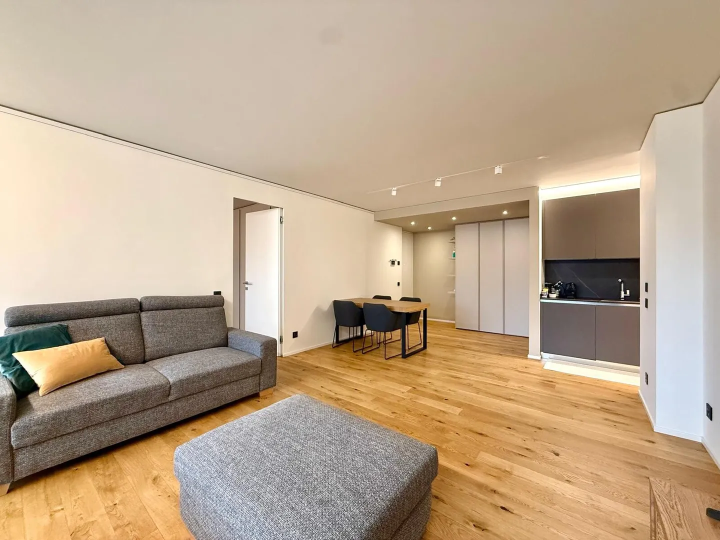 BRIGHT 3.5 ROOMS WITH SPLENDID TERRACE IN PARADISO - Photo 1 of 10