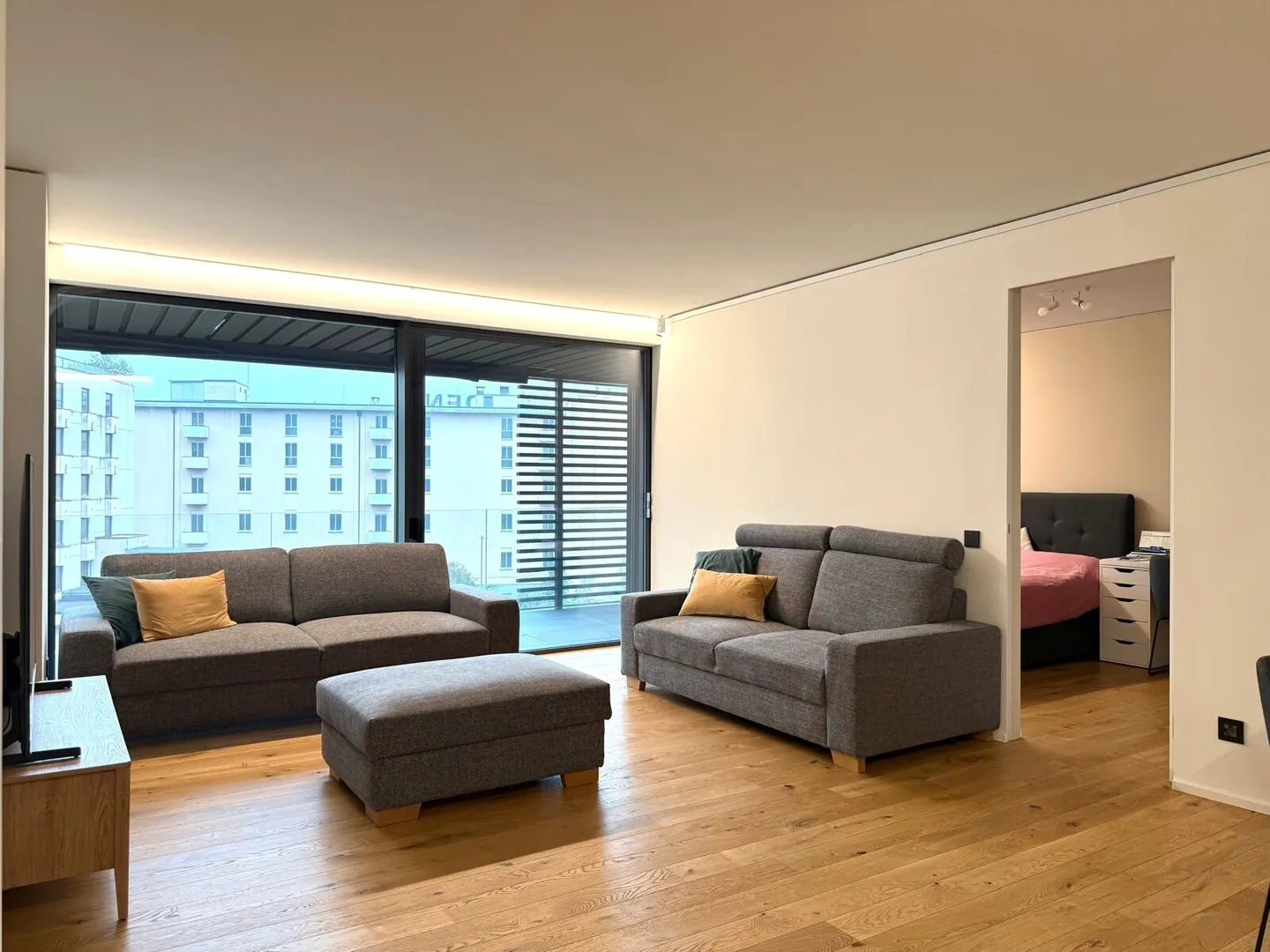 BRIGHT 3.5 ROOMS WITH SPLENDID TERRACE IN PARADISO - Photo 2 of 10