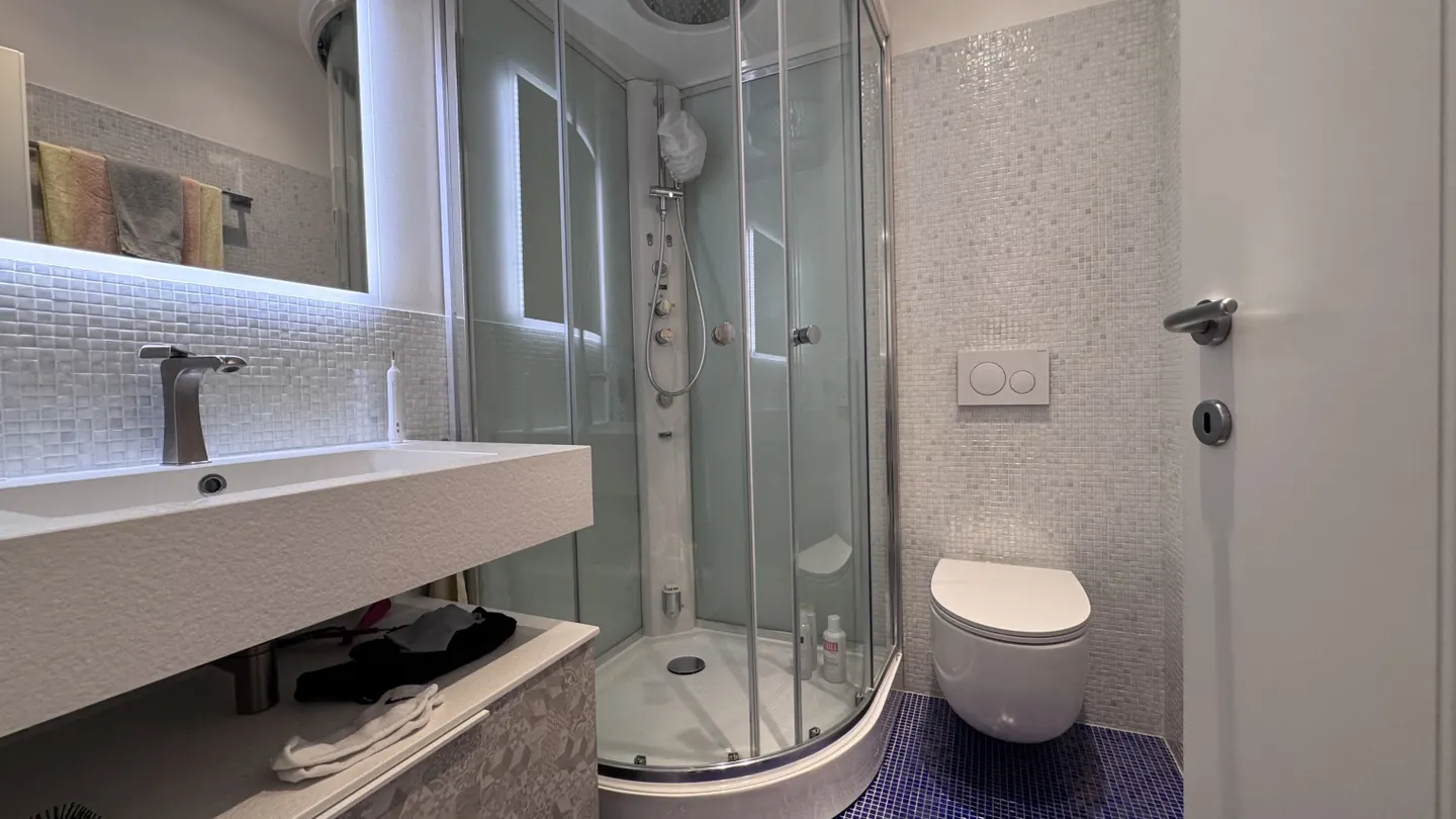 STUNNING AND SPACIOUS 3.5 ROOMS IN CENTRAL LUGANO - Photo 5 of 9