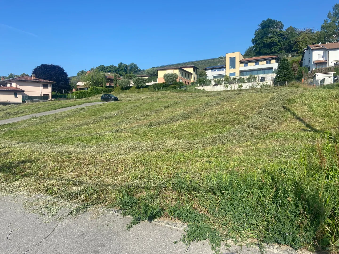 GRANDE PORTE DE TERRAIN POUR UNE VILLA SPACIEUSE À STABIO - Photo 1 sur 2