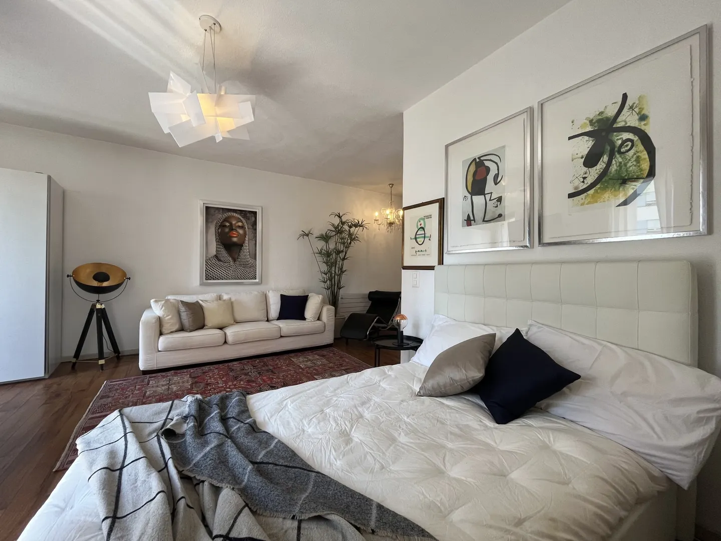 DESIGN OPEN-SPACE ATTIC FOR RENT IN MASSAGNO - Photo 6 of 9