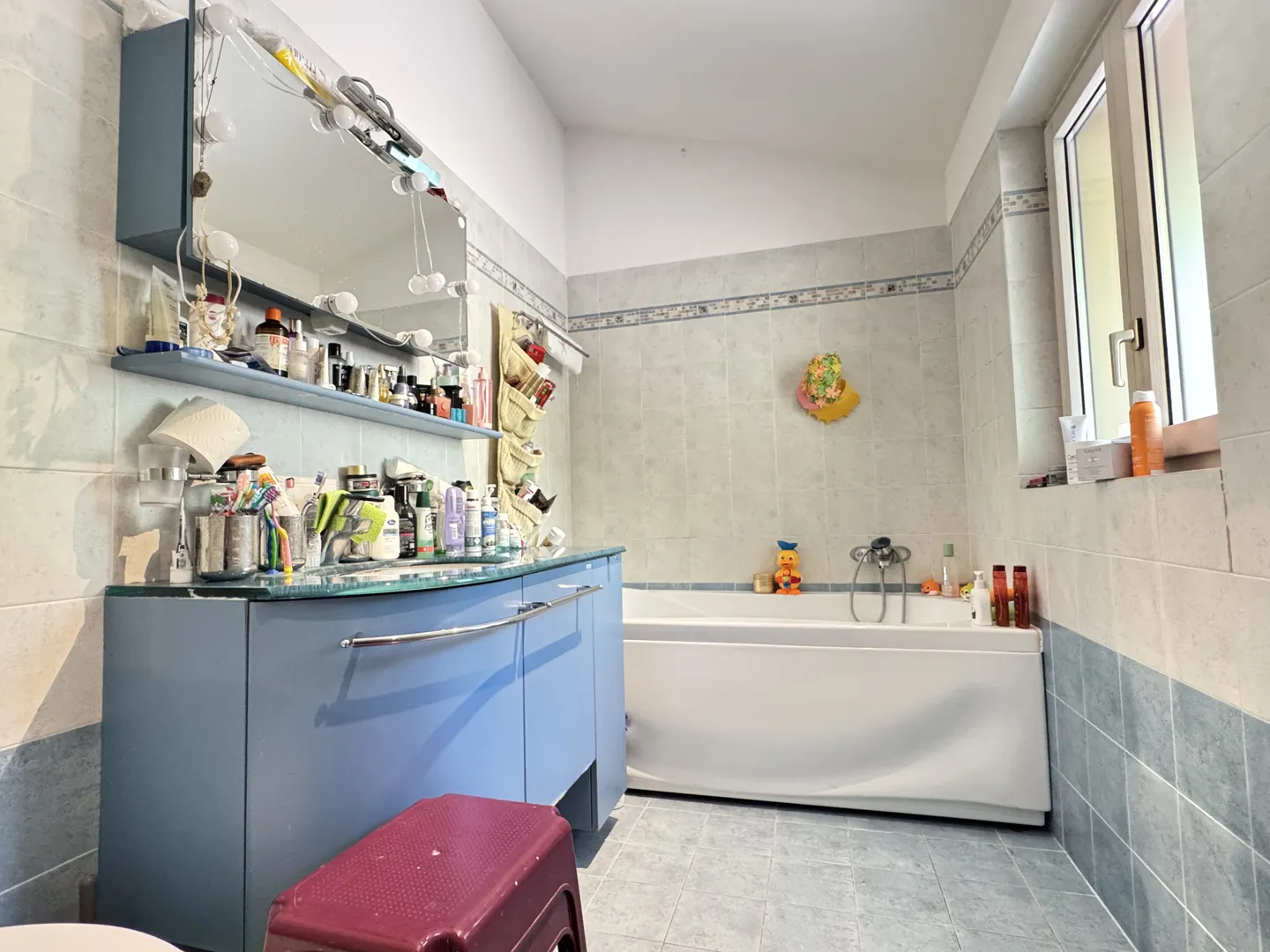 OCCASIONE-BIFAMILIARE CON PISCINA E GRANDE TERRENO A MELANO - Foto 12 di 13