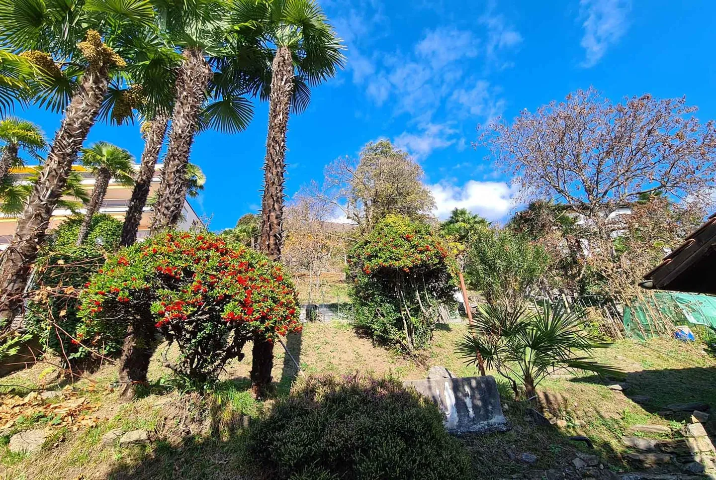 GRANDE TERRENO EDIFICABILE CON VISTA LAGO A LOCARNO - Foto 3 di 5