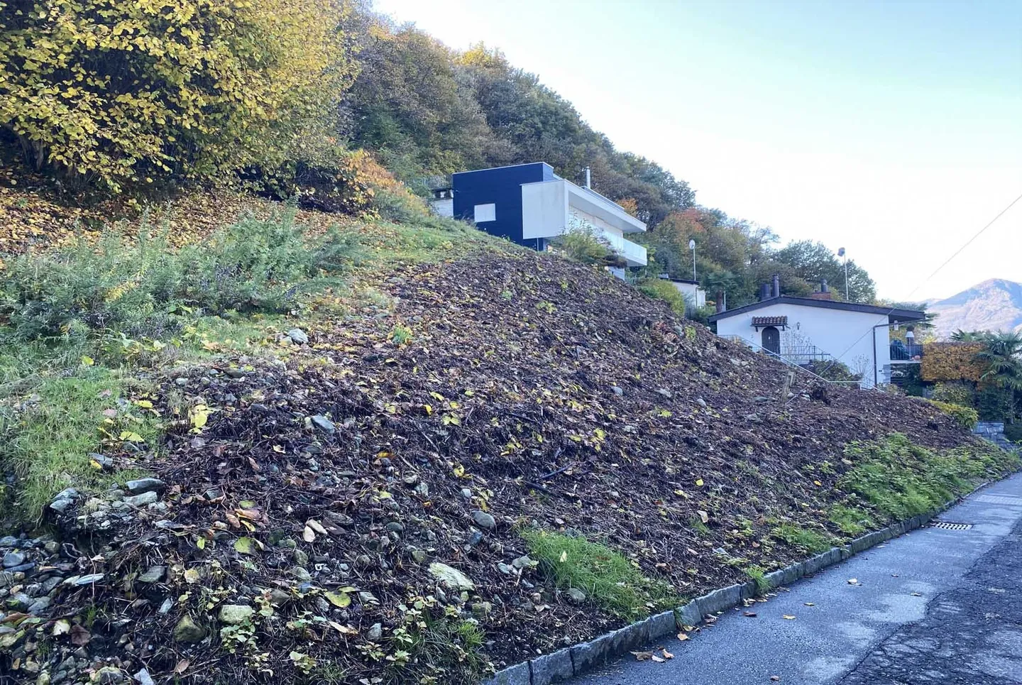 BAUBARES LAND MIT SEEBLICK IN GERRA GAMBAROGNO - Foto 3 von 5