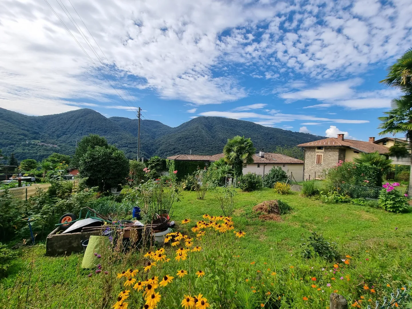 TERRENO EDIFICABILE CON PROGETTO PER UNA CASA A MONTEGGIO - Foto 1 di 5