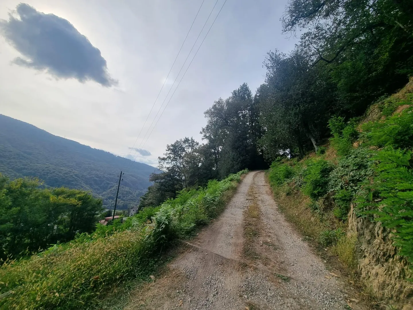 AMPIO TERRENO EDIFICABILE R2 DI 2567 MQ + BOSCO A MONTEGGIO - Foto 4 di 4