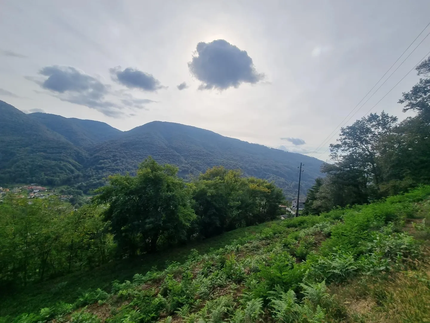AMPIO TERRENO EDIFICABILE R2 DI 2567 MQ + BOSCO A MONTEGGIO - Foto 3 di 4