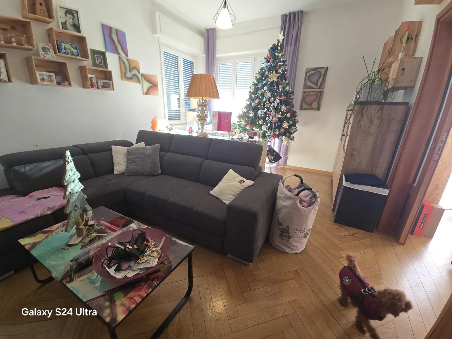 AFFARE - PALAZZINA DI 3 PIANI A REDDITO + POSTEGGI A LOCARNO - Foto 5 di 10