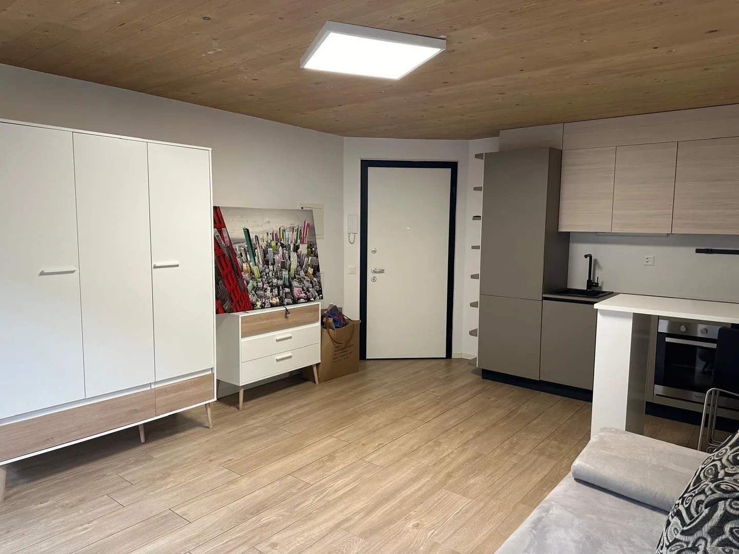 NEW 1.5 ROOMS FURNISHED WITH GARDEN IN CADENAZZO - Photo 6 of 9