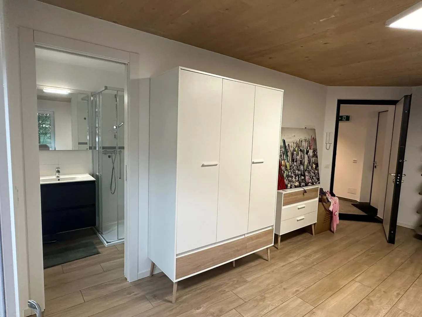 NEW 1.5 ROOMS FURNISHED WITH GARDEN IN CADENAZZO - Photo 7 of 9