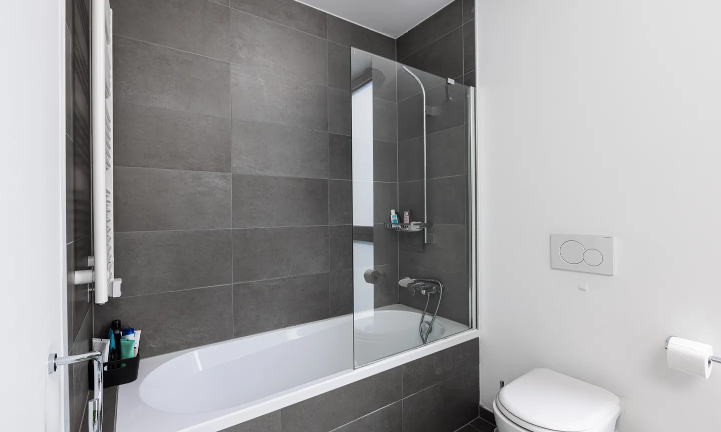 MODERN 3.5 ROOMS WITH PRIVATE GARDEN IN CASTEL SAN PIETRO - Photo 9 of 10