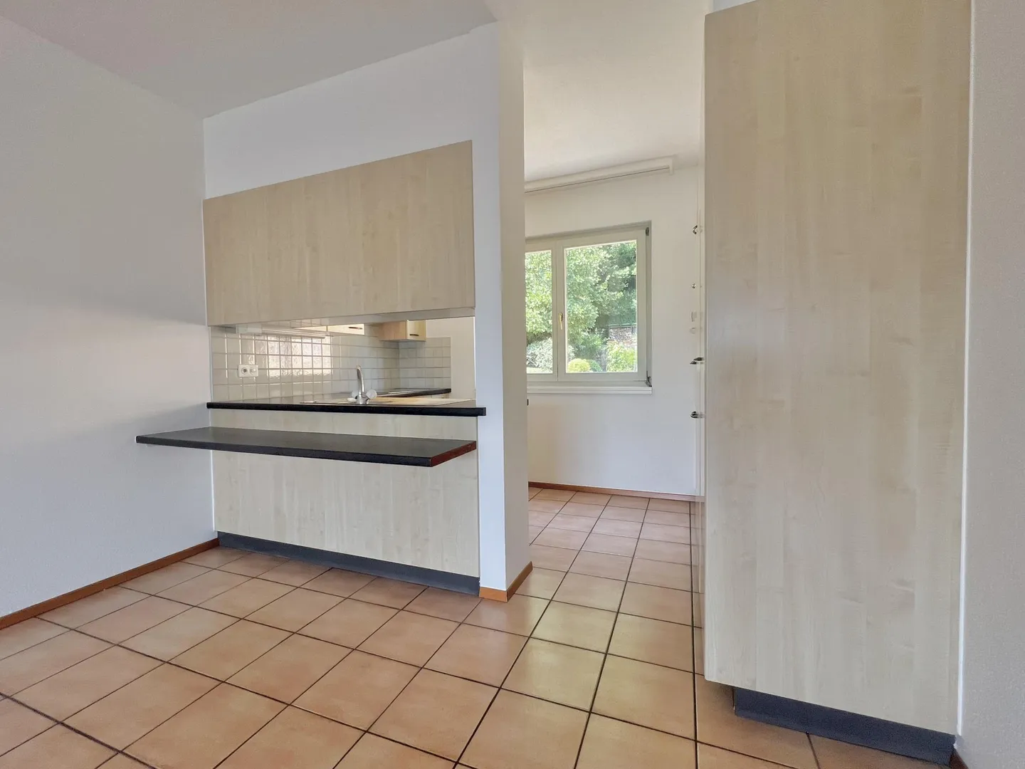 À LOUER SPACIEUX 3.5 AVEC VUE OUVERTE À COLLINA D'ORO - Photo 4 sur 10