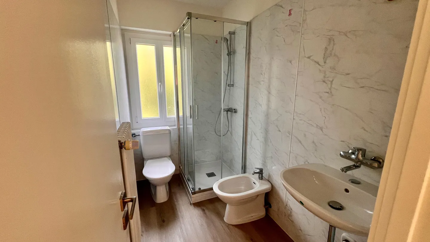 BRIGHT 4.5-ROOM APARTMENT RENOVATED IN AGNO - Photo 9 of 10