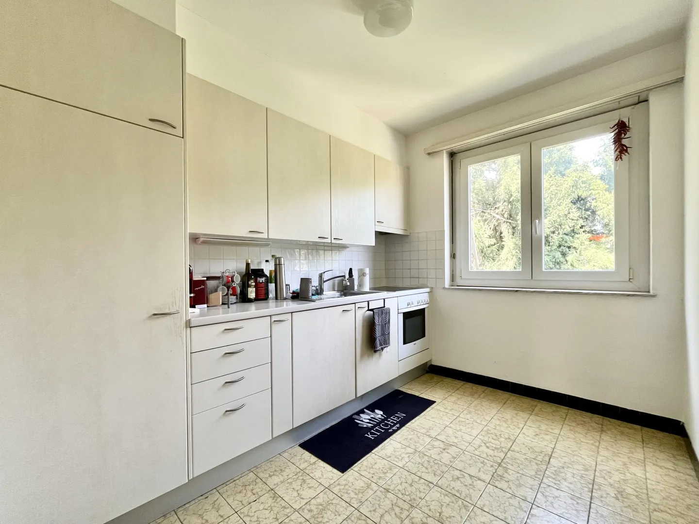 APPARTAMENTO 3.5 LOCALI CON VISTA PANORAMICA A SAVOSA - Foto 7 di 10