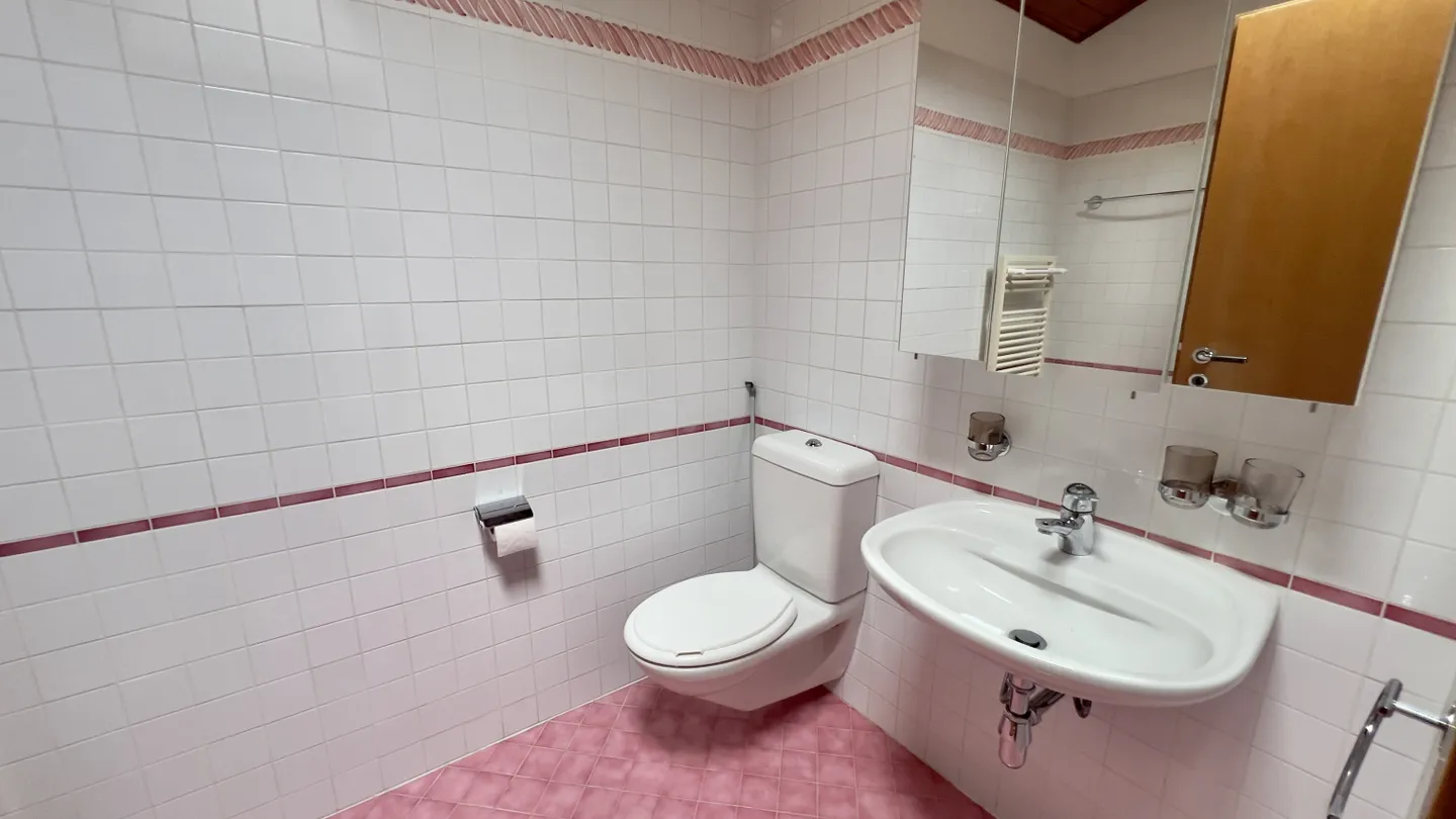 SPACIOUS 3.5-ROOM DUPLEX IN THE HEART OF PURASCA - Photo 9 of 11