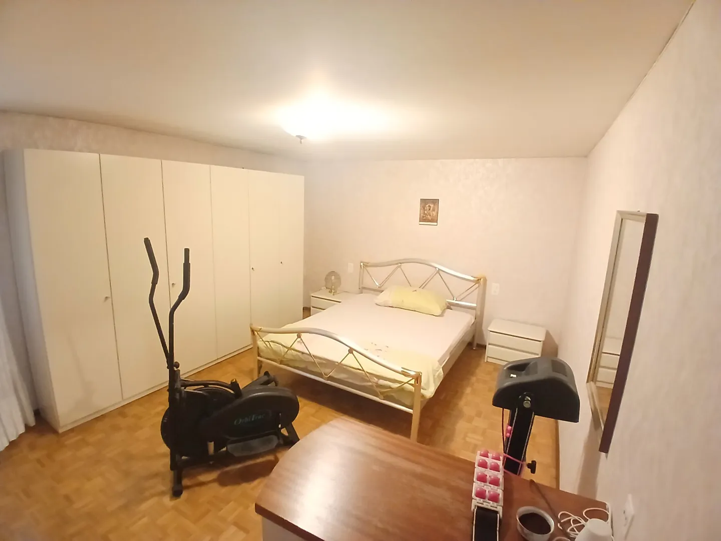 GRANDE CASA 5.5 LOCALI CON BAR E MAGAZZINO A PONTE TRESA - Foto 8 di 9