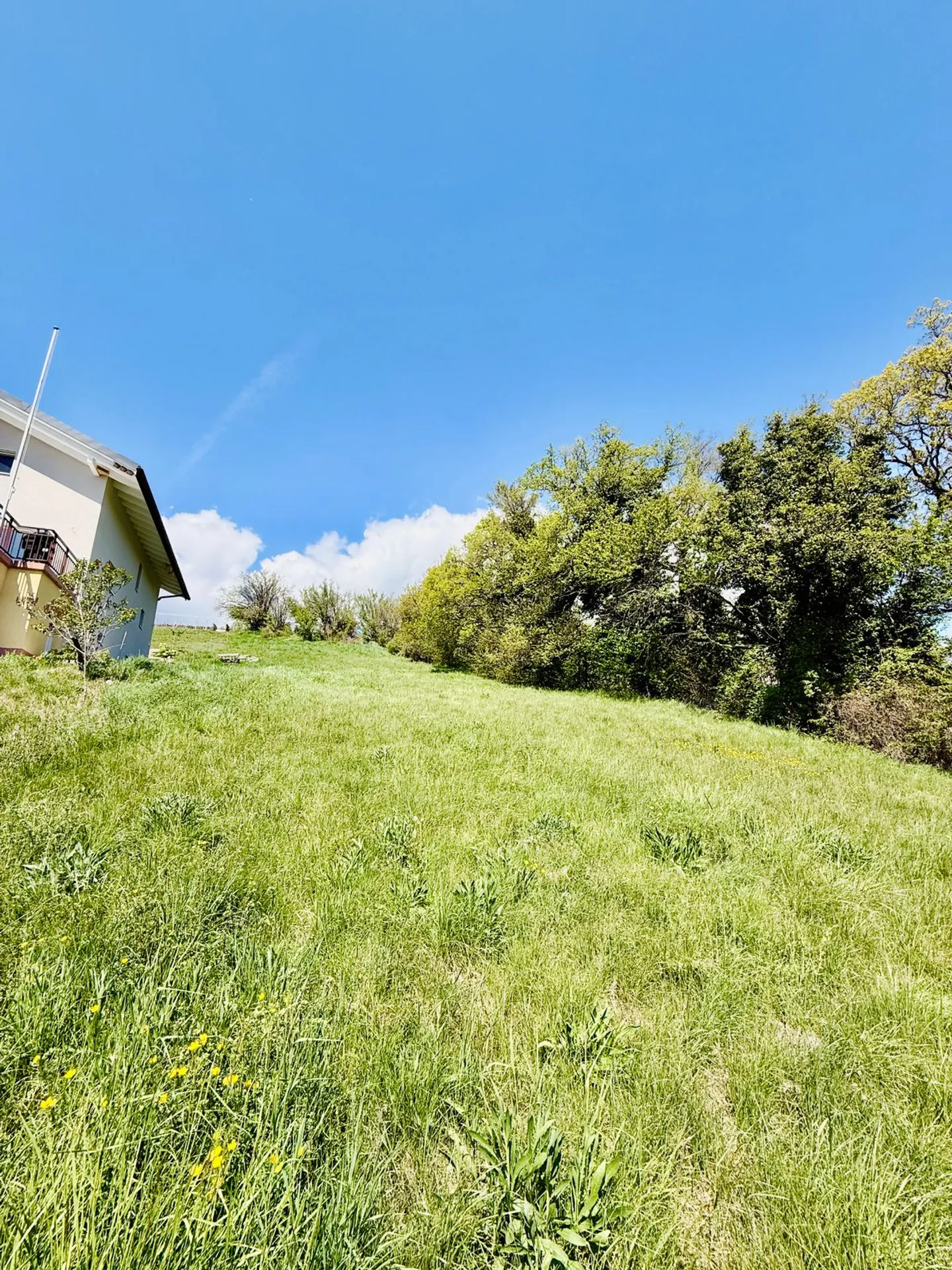 PARZELLE VON 1399 M2, AYENT! SIGNÈSE - Foto 2 von 4