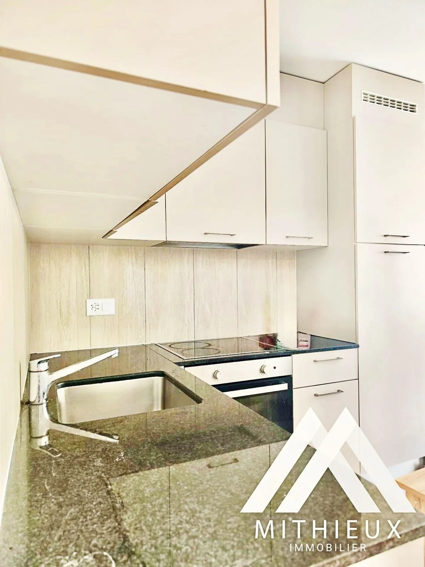 APPARTAMENTO 2.5 STANZE, 43 M2, SION - Foto 3 di 8