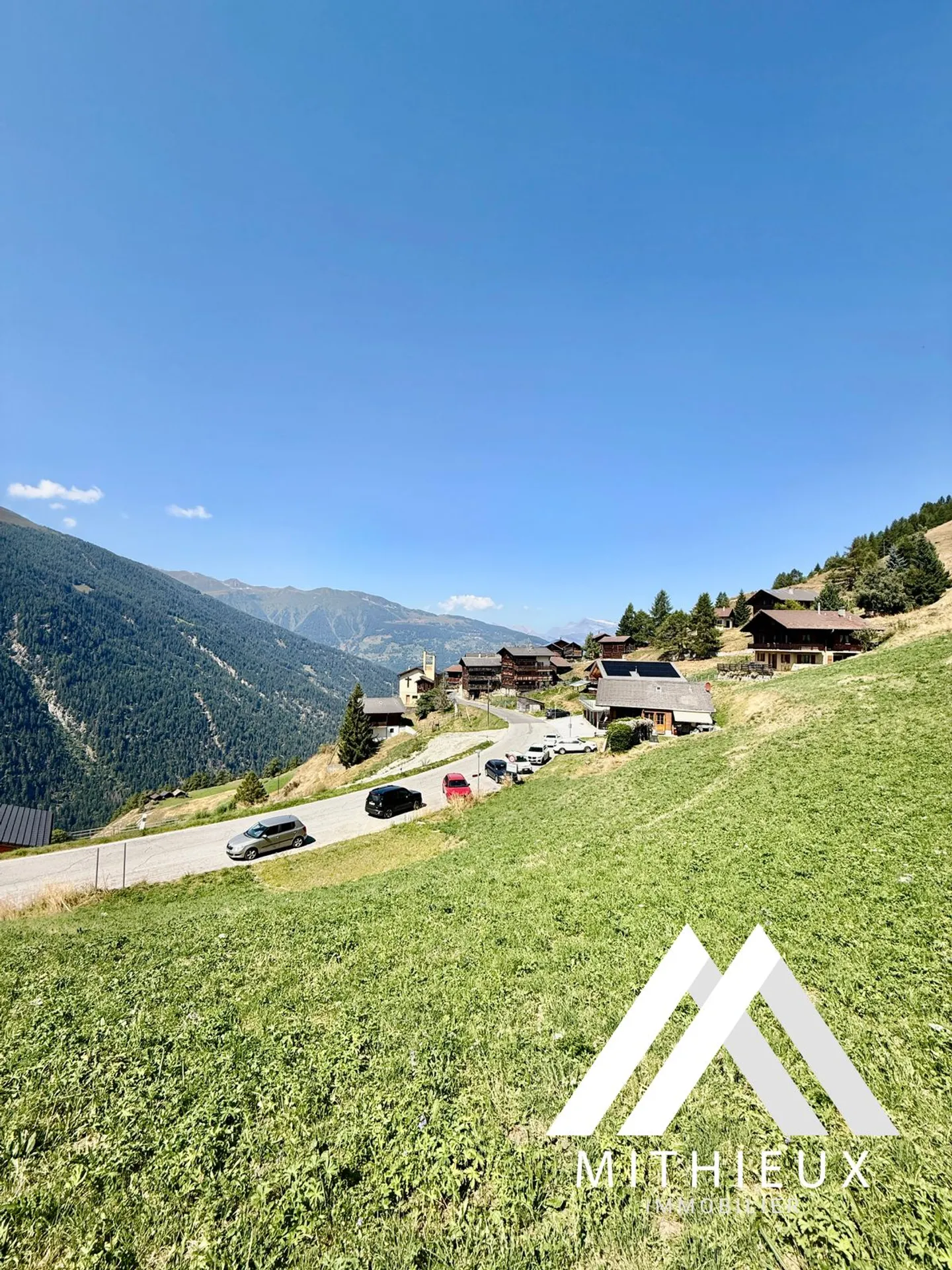 PARZELLE 4104 M2! MÖGLICHKEIT ZUM BAUEN VON 5 CHALETTS, EISON - Foto 4 von 7