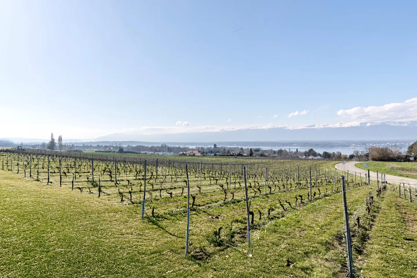 Spacious penthouse duplex with lake view - Photo 7 of 7