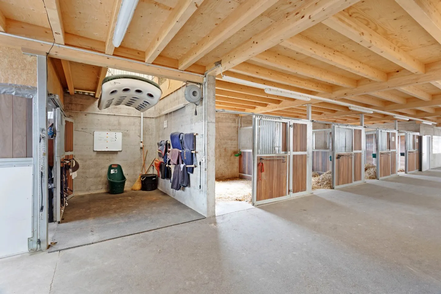Magnifico centro equestre con strutture professionali - Foto 3 di 9