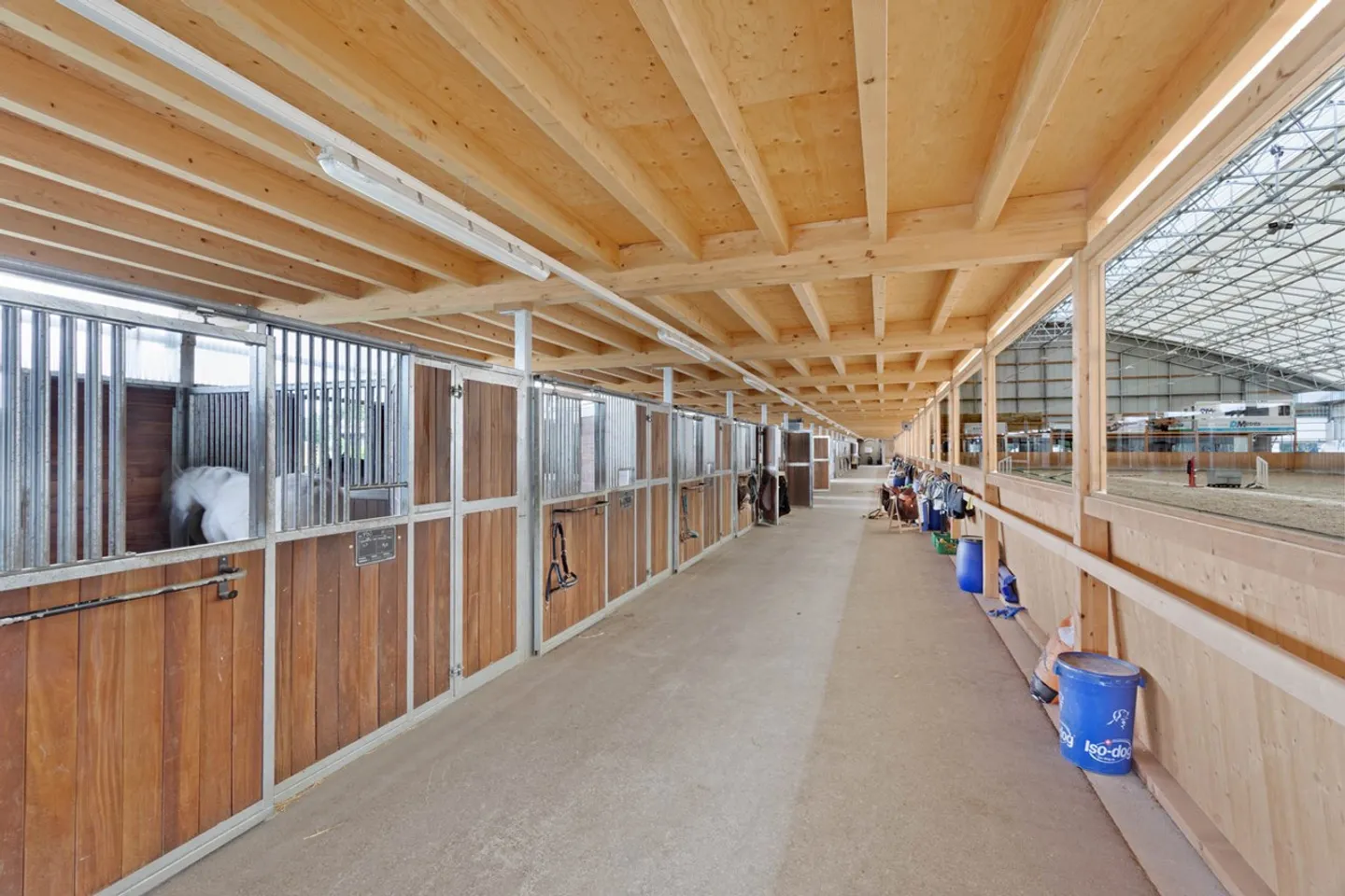 Magnifico centro equestre con strutture professionali - Foto 5 di 9