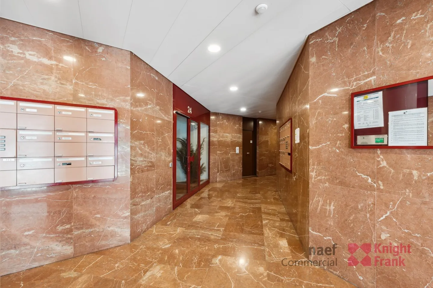 Eaux-Vives - Uffici di 438 m² PPE - Foto 2 di 10