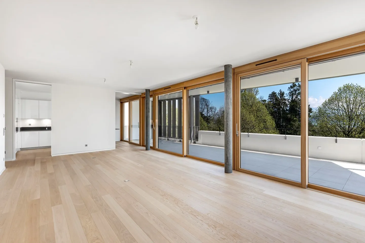 Appartamento nuovo di 5 stanze con terrazza sul tetto - Foto 4 di 8