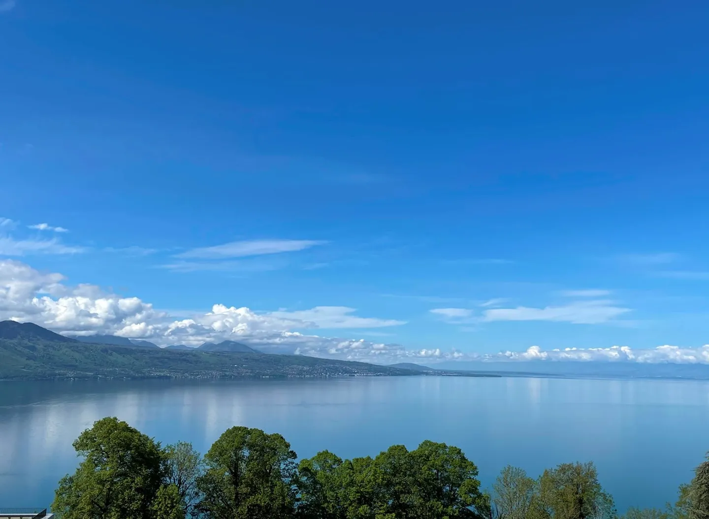 New 5.5-room penthouse apartment for sale in Puidoux/Chexbres - Photo 2 of 9