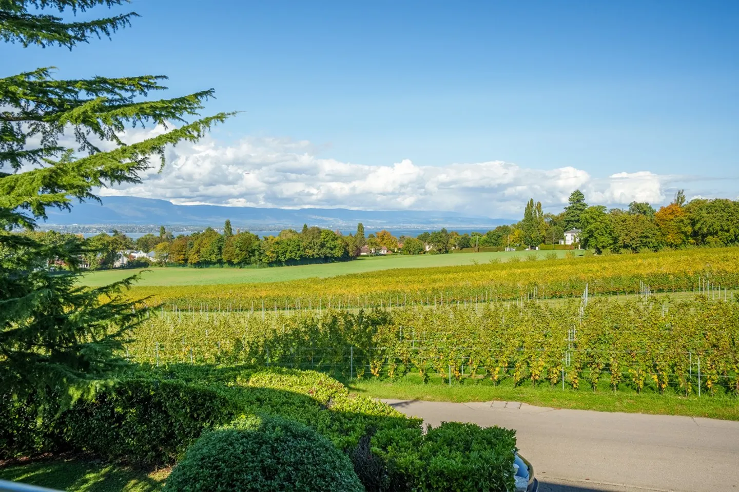 Charming house with a view of the vineyards - Photo 8 of 8