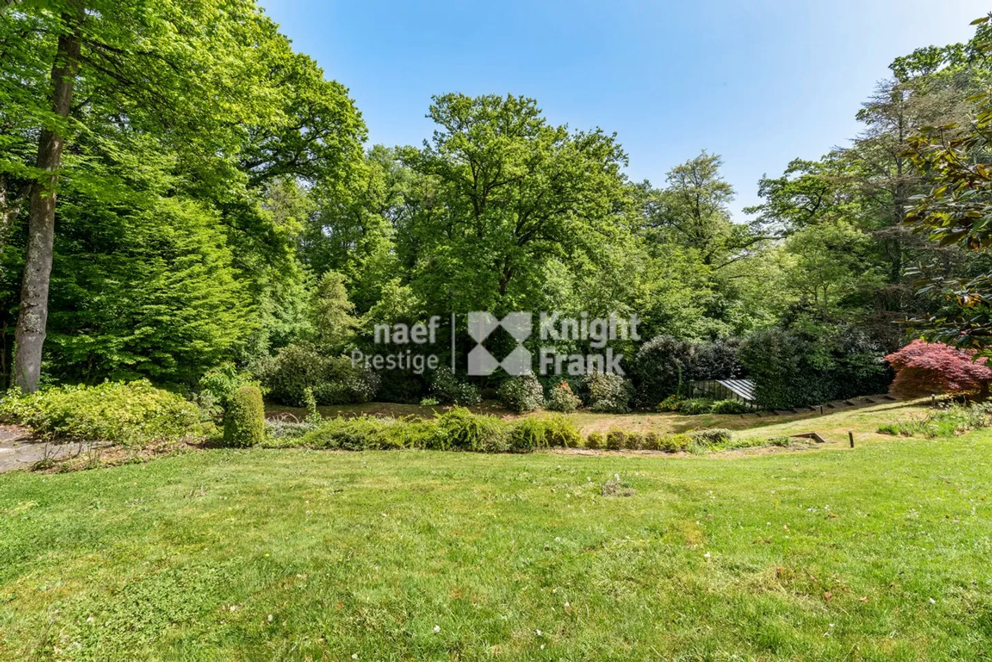 Vaste propriété de prestige dans un écrin de verdure - Photo 11 sur 11