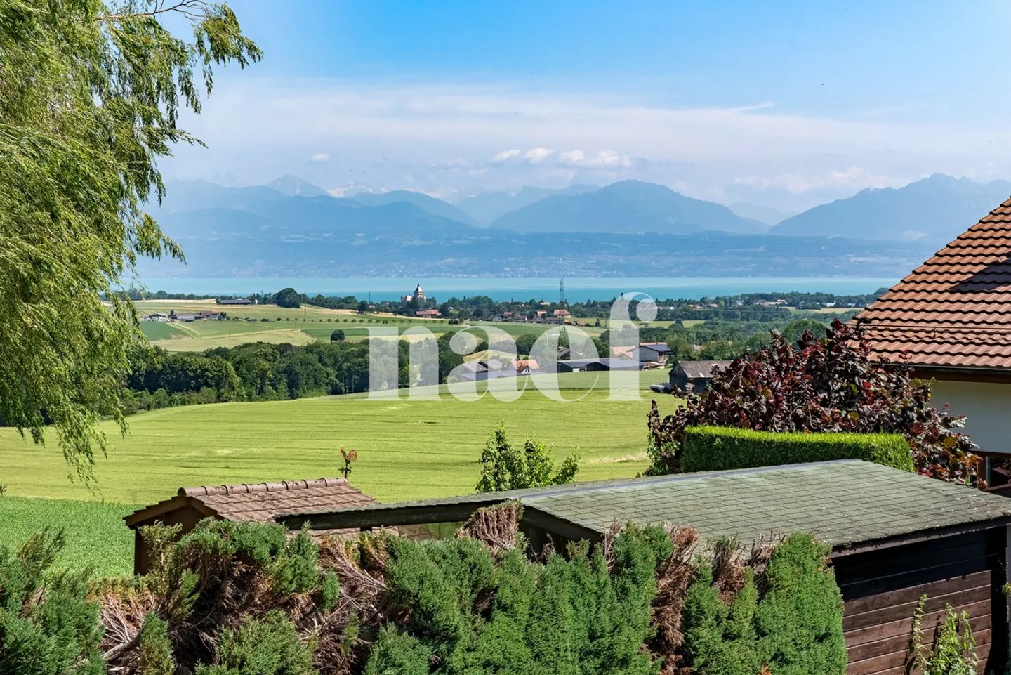 Wunderschöne 6-Zimmer-Villa zwischen Natur und Komfort - Foto 12 von 12