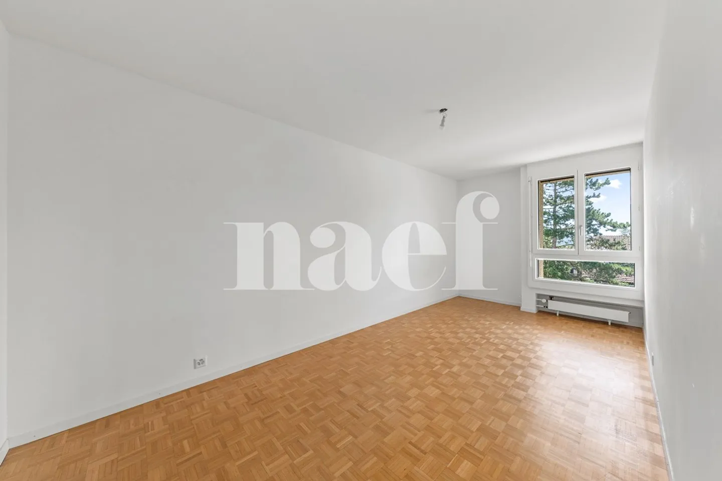 Appartamento di 6 stanze con 4 camere - Spazioso e Luminoso - Foto 12 di 13