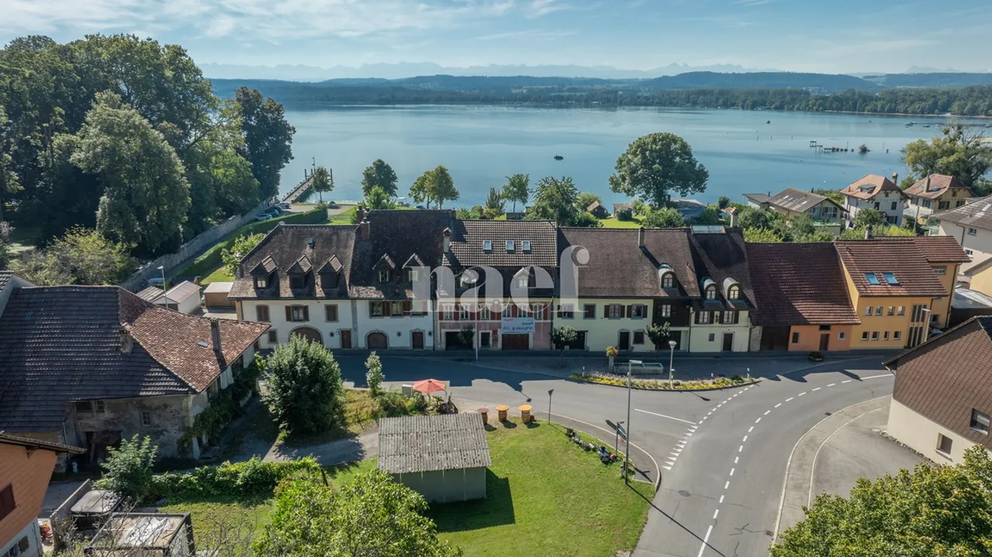 Maison de maître au bord du lac de Morat à vendre à Vallamand - Photo 4 sur 7