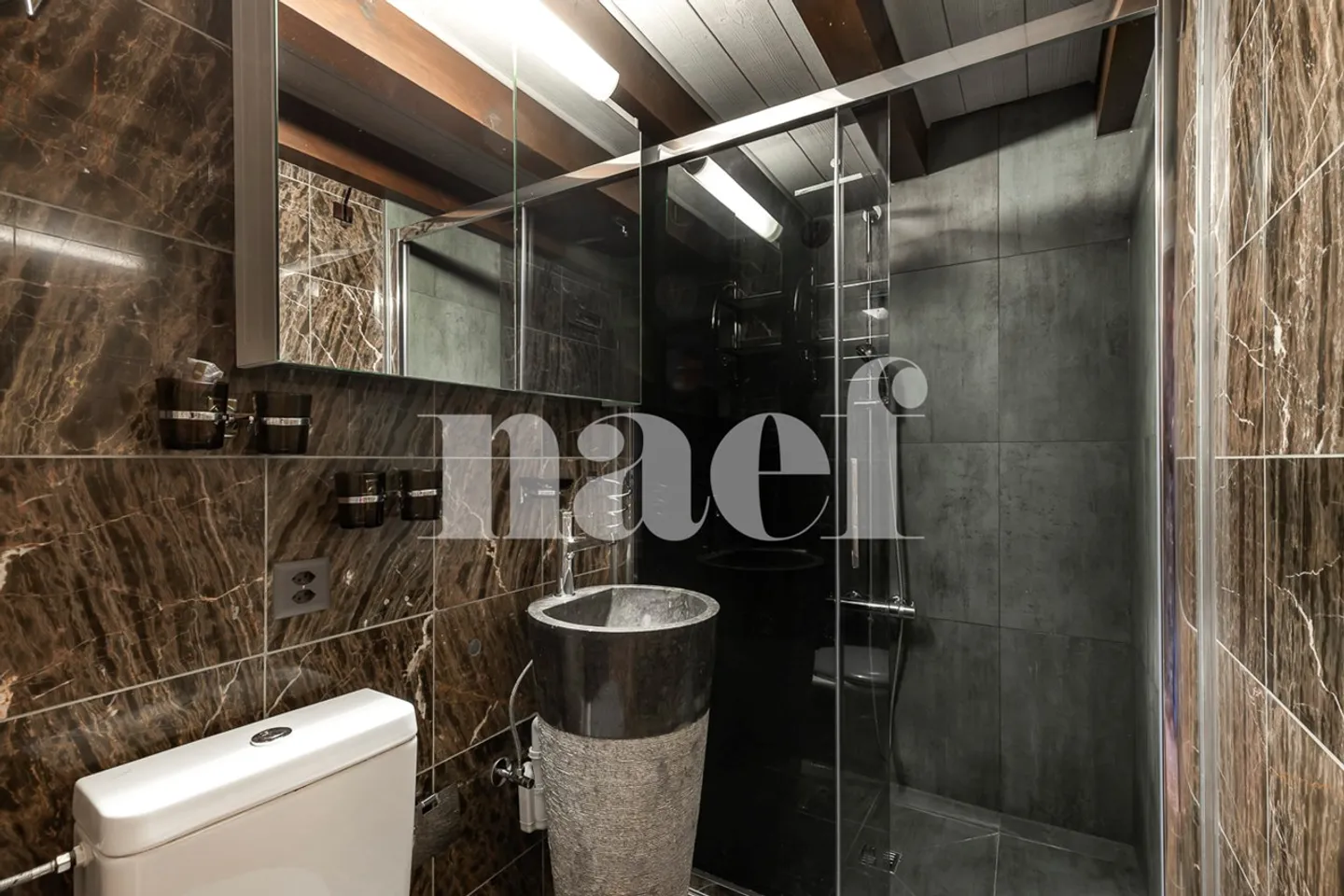 3.5 rooms renovated with stunning lake view - Photo 8 of 13