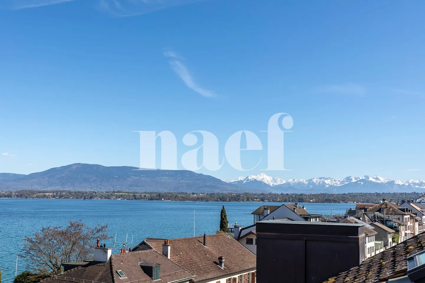 3.5 rooms renovated with stunning lake view - Photo 11 of 13