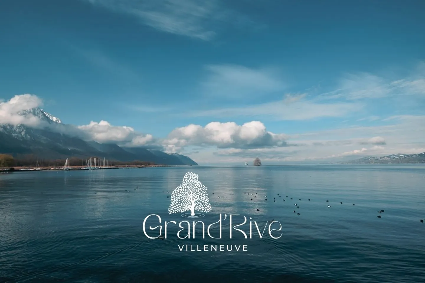 Lot A4 - Nuovo appartamento di 4.5 locali al 1° piano a due passi dal lago - Promozione Grand'Rive - In vendita a Villeneuve - Foto 2 di 8