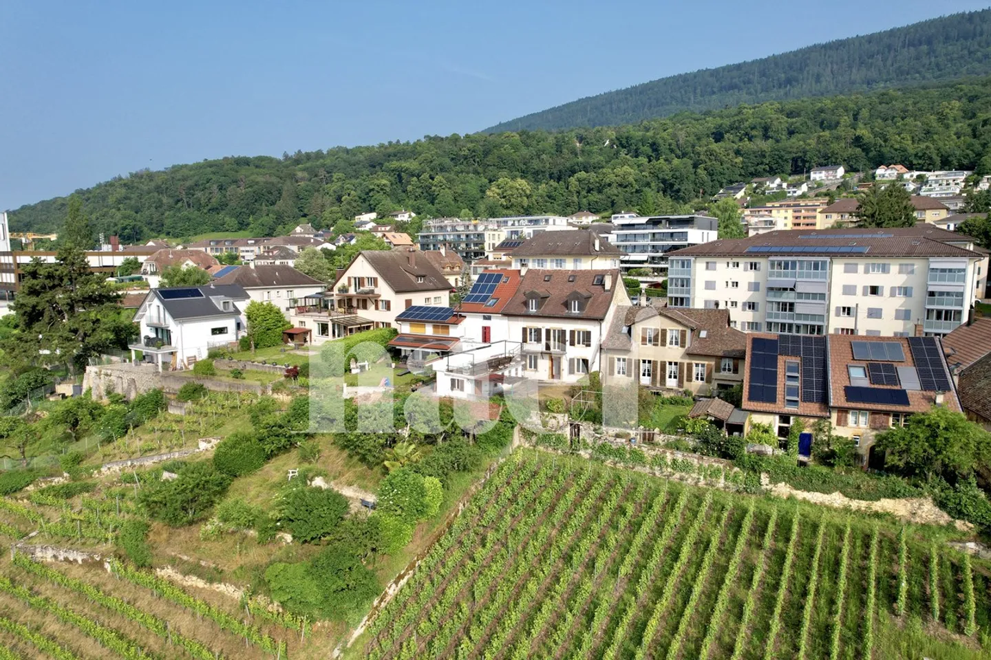 Ideal for nature lovers in the city! - Photo 1 of 8