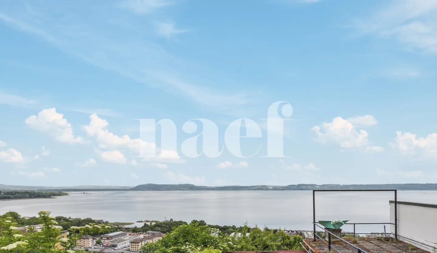 Ideal for nature lovers in the city! - Photo 2 of 8