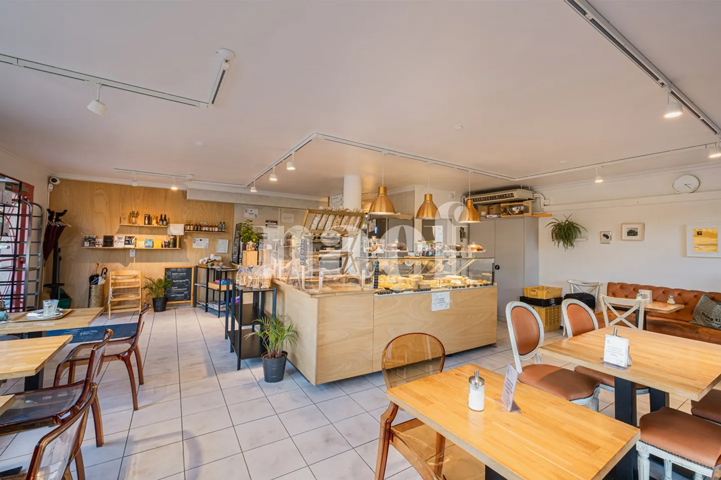 Schöne Investitionsmöglichkeit exklusiv - Foto 3 von 3