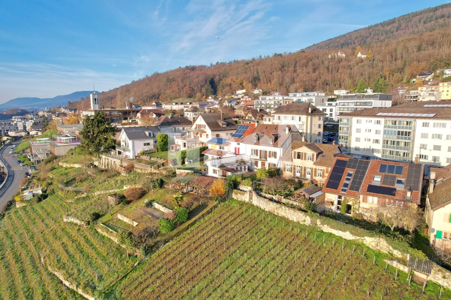 Ideale per gli amanti della natura in città! - Foto 10 di 10