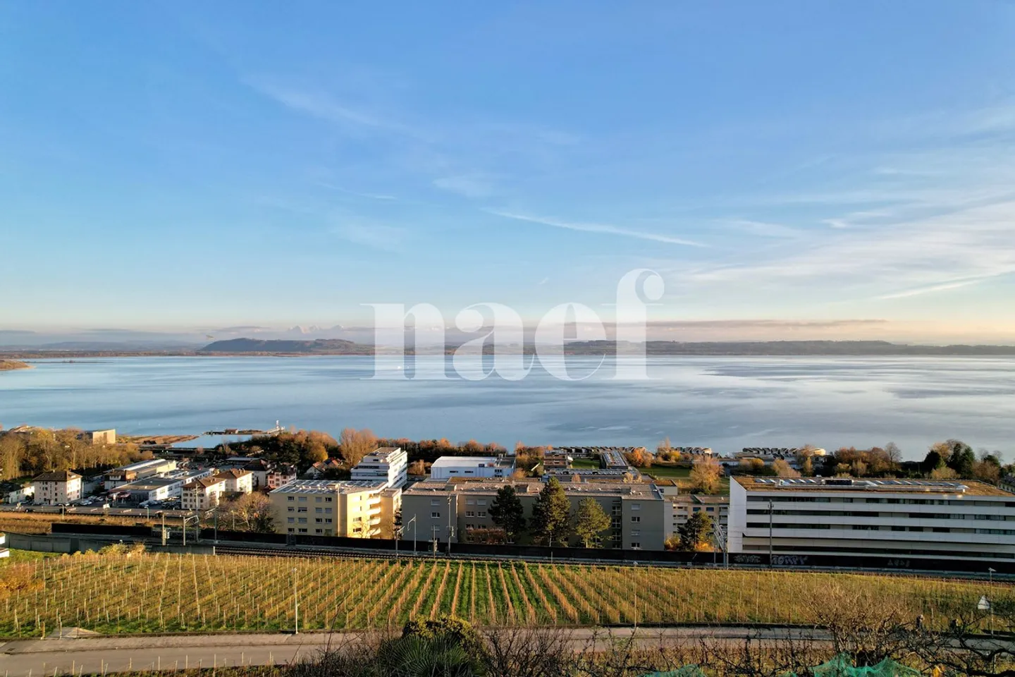 Ideale per gli amanti della natura in città! - Foto 1 di 10