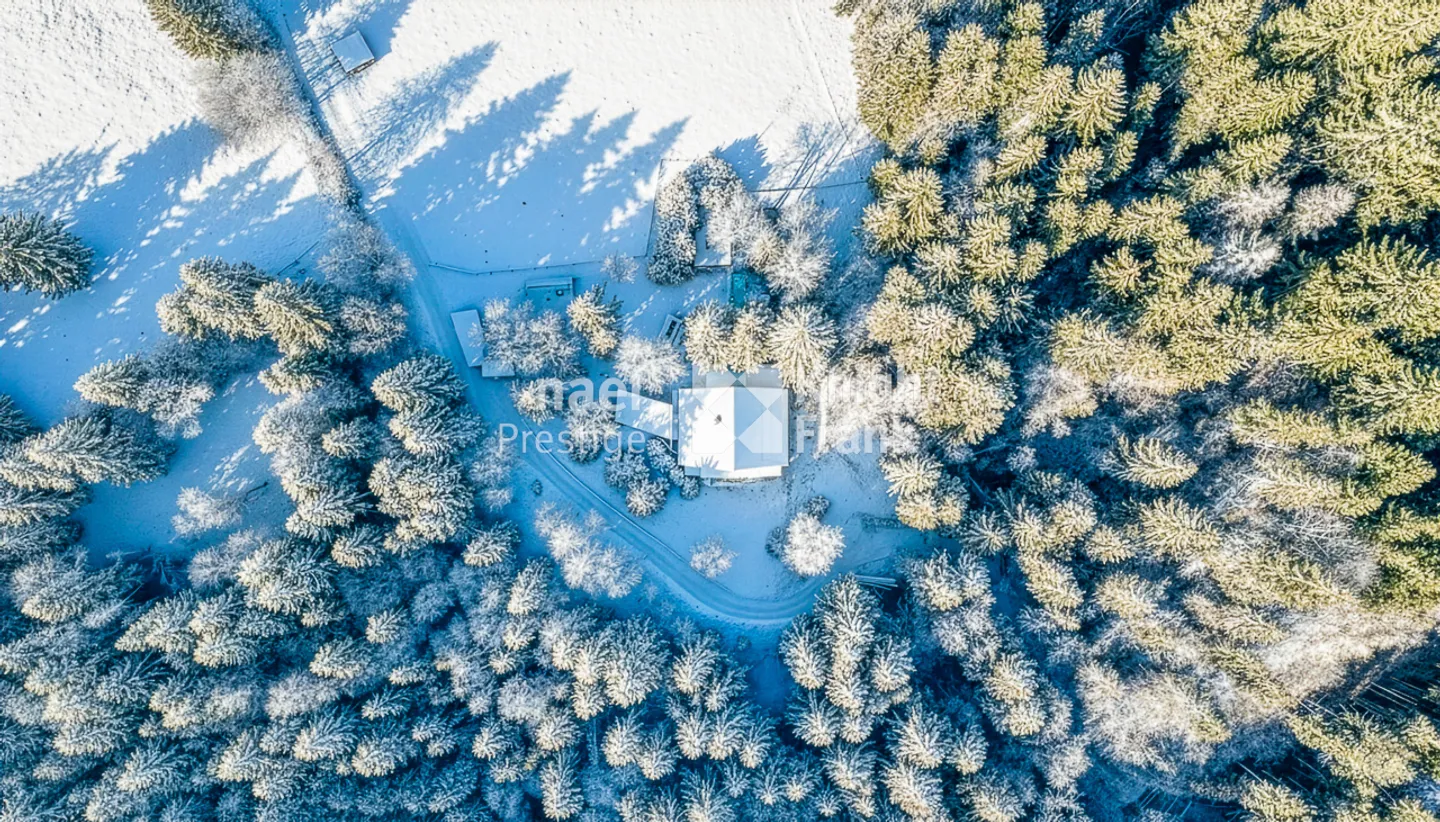 Exceptional 6-room chalet for sale between Troistorrents and Morgins / VS - Photo 3 of 13