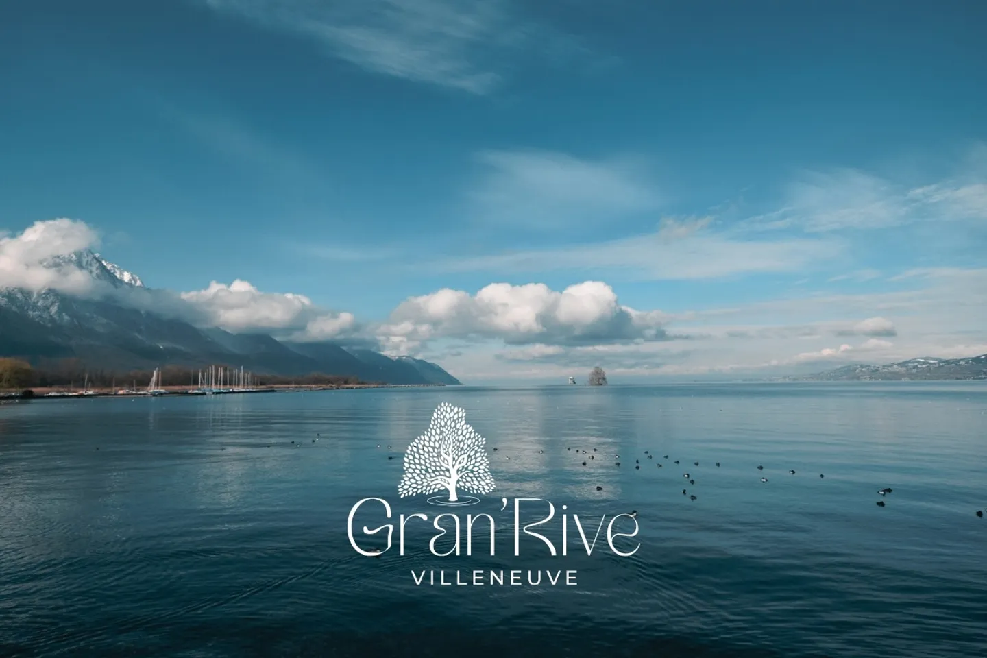 Lot B2 - New studio on the ground floor with terrace/garden and just steps from the lake - Gran'Rive Promotion - For sale in Villeneuve - Photo 2 of 7