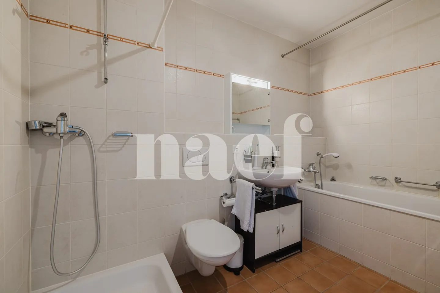 Bright 4-room apartment with terrace and private garden in Châtelaine - Photo 7 of 9