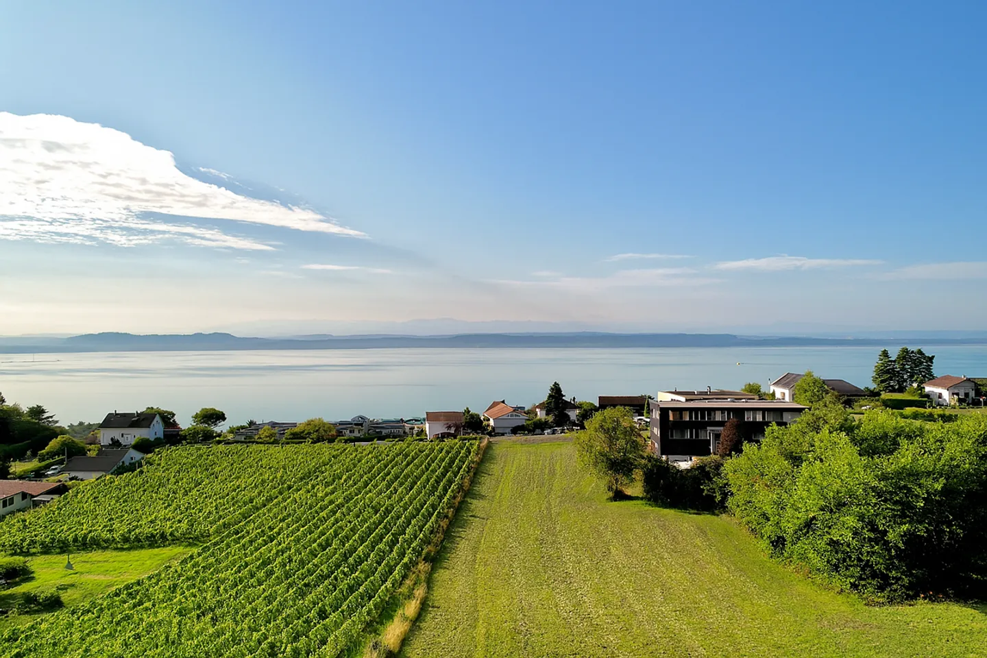 Villas Modernes en Nature - Photo 1 sur 5