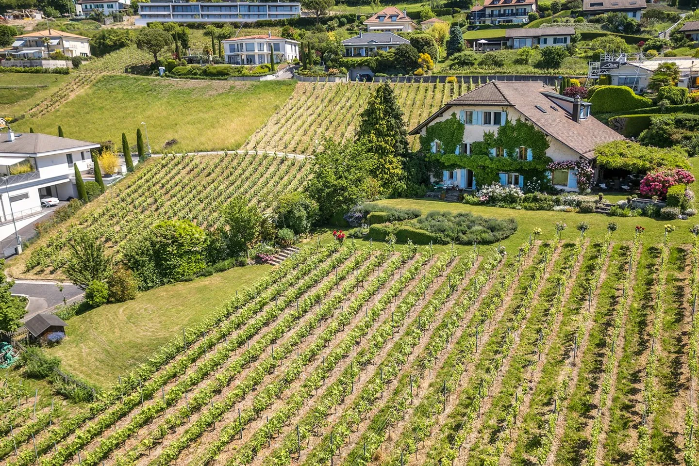 Exceptional residence in the heart of Lavaux - Photo 2 of 13