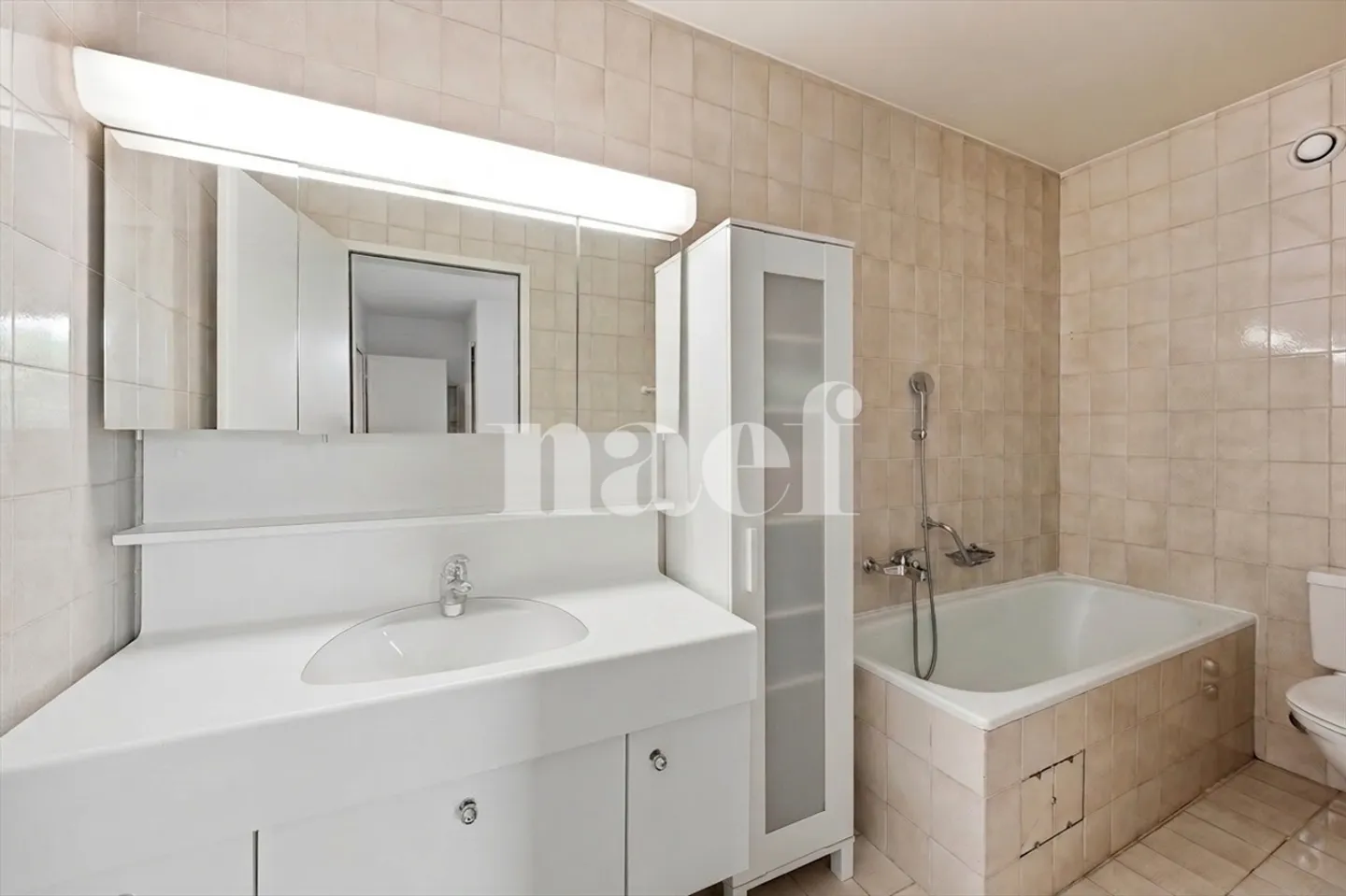 Schöne Penthouse mit Terrasse im Herzen von Carouge - Foto 10 von 13