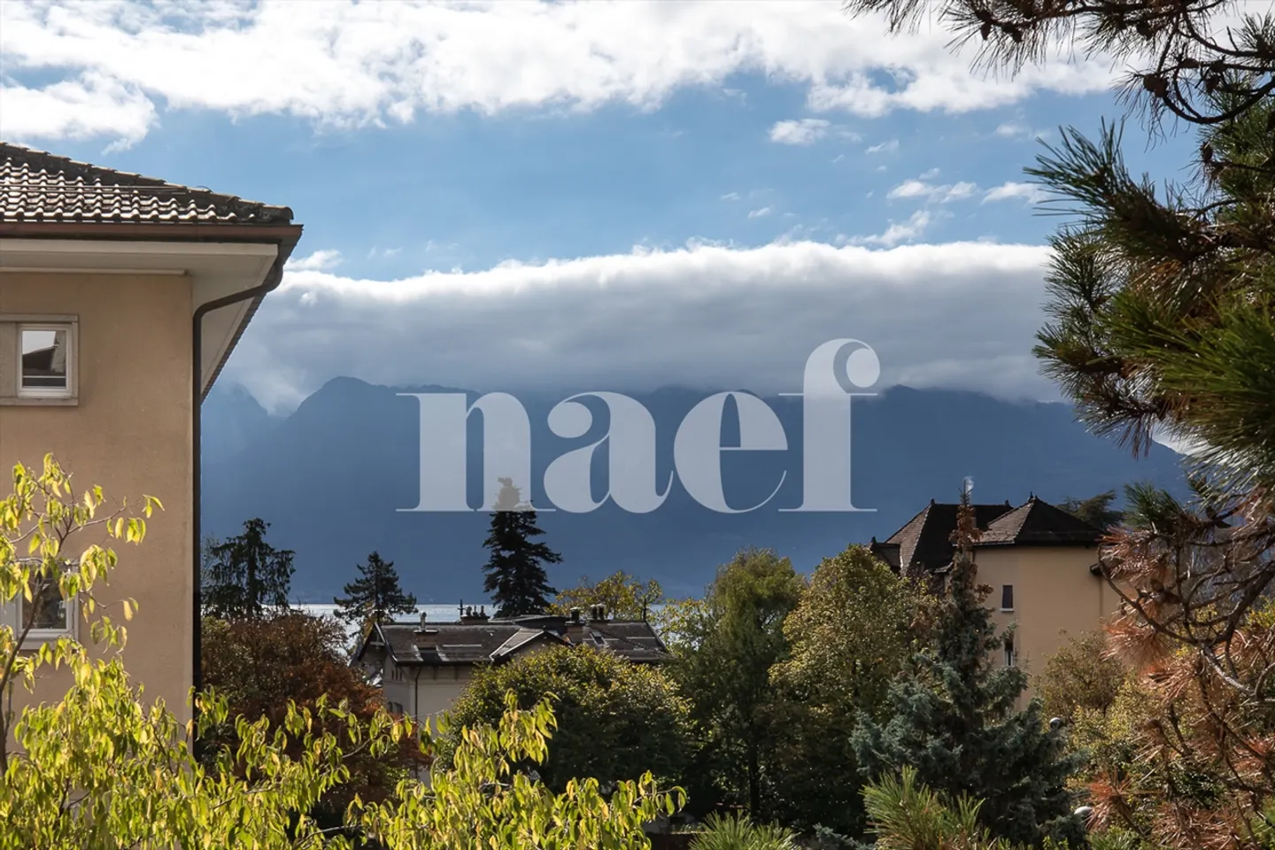 Exclusive! Bright fully renovated 4.5-room apartment for sale in the heart of Vevey - Photo 3 of 12