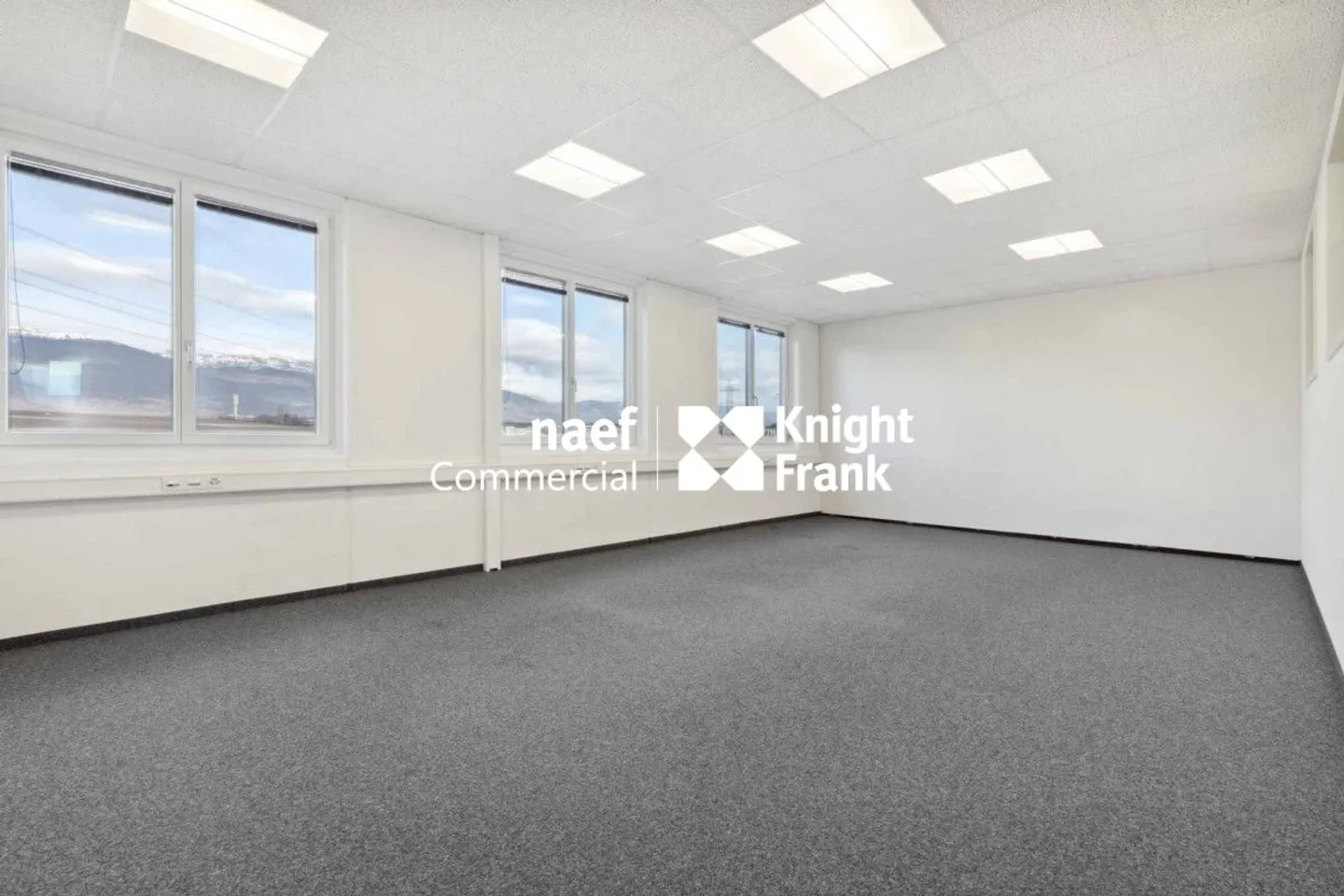 Superficie di 418 m² nella zona industriale ZIMEYSA di Meyrin - Foto 7 di 8